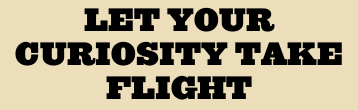 Let your curiosity take flight